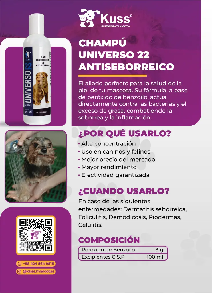 FICHA COMERCIAL CHAMPU ANTISEBOIRRECO.webp