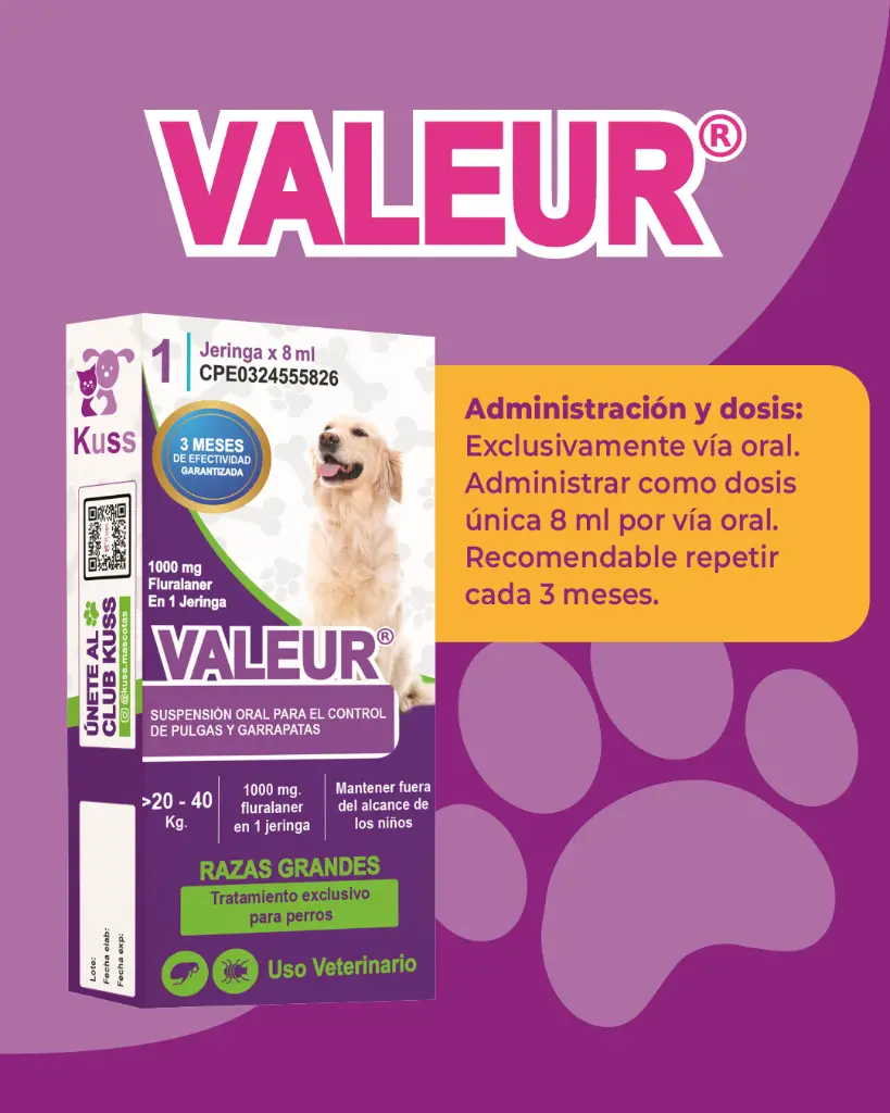 VALEUR (3).webp