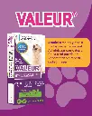 VALEUR (3).webp