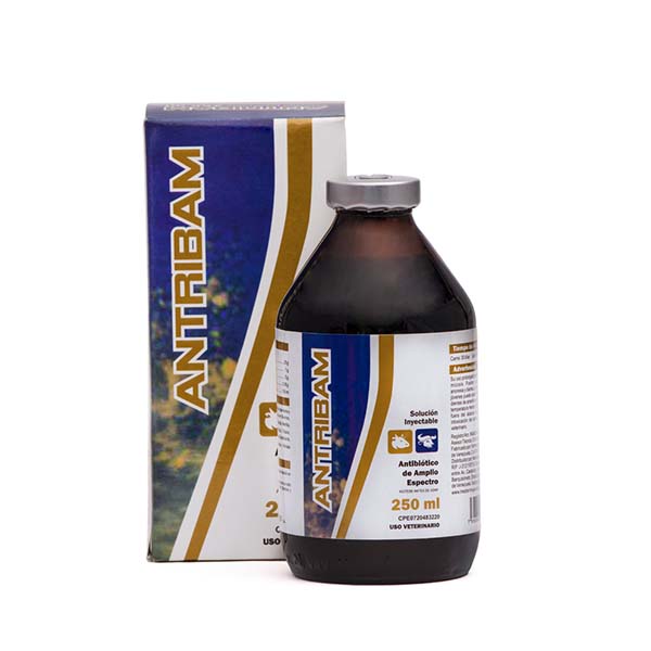 ANTRIBAM x 250ml